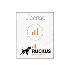 Licenses & Renewals