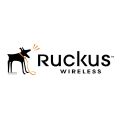 Ruckus Wireless Kit, Spare, Universal Power Adapter, 48V/50W (115V/230VAC), w/power cord, AU - quantity of 1